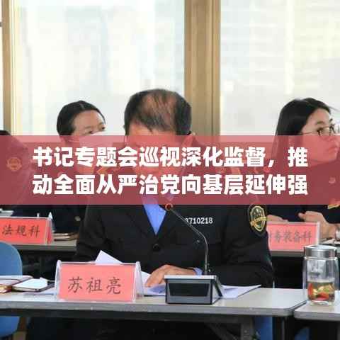 书记专题会巡视深化监督,推动全面从严治党向基层延伸强化党内监督力度