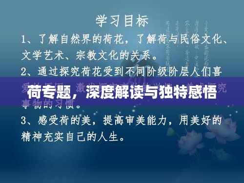 荷专题,深度解读与独特感悟